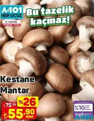 KESTANE MANTAR fiyat ve kampanya bilgisi